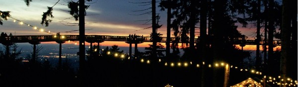 Der Waldwipfelweg erstrahlt mit 1.000 Lichtern während der Adventszeit