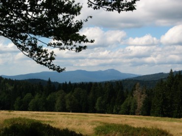 Der Hochschachten wurde bis Mitte des vergangenen Jahrhunderts als Sommerweide für das Vieh von den Bauern aus Lindberg und Buchenau genutzt. Heute kann man diese Landschaft auf einem markierten Wanderweg (der auch Teil des Goldsteig-Fernwanderweges ist) entdecken.