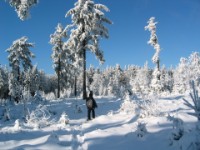 Schneeschuh-Tour am Pröller - wenn Sie wollen, nehmen wir Sie mit auf eine der vielen möglichen Schneeschuh-Routen