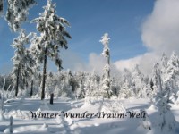 Winter-Wunder-Welt